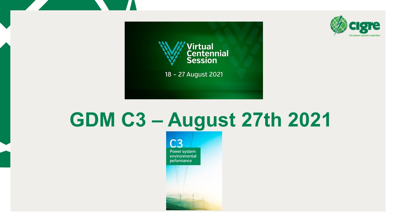 Virtual Session GDM SC C3