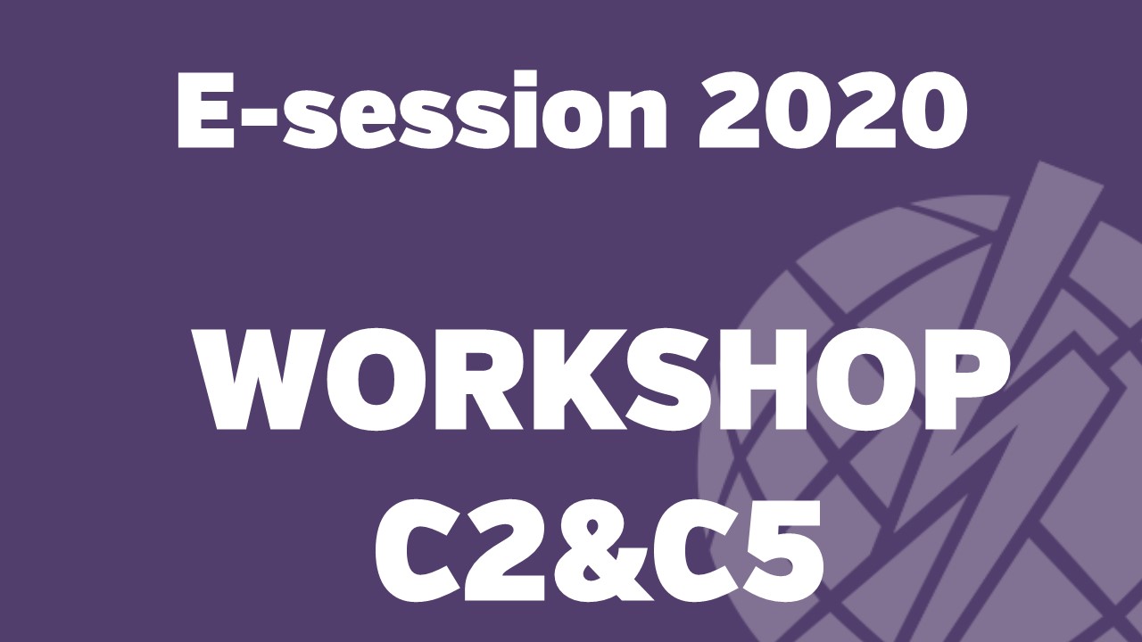 e-session_20200824_Large disturbances workshop (SC C2 & C5)