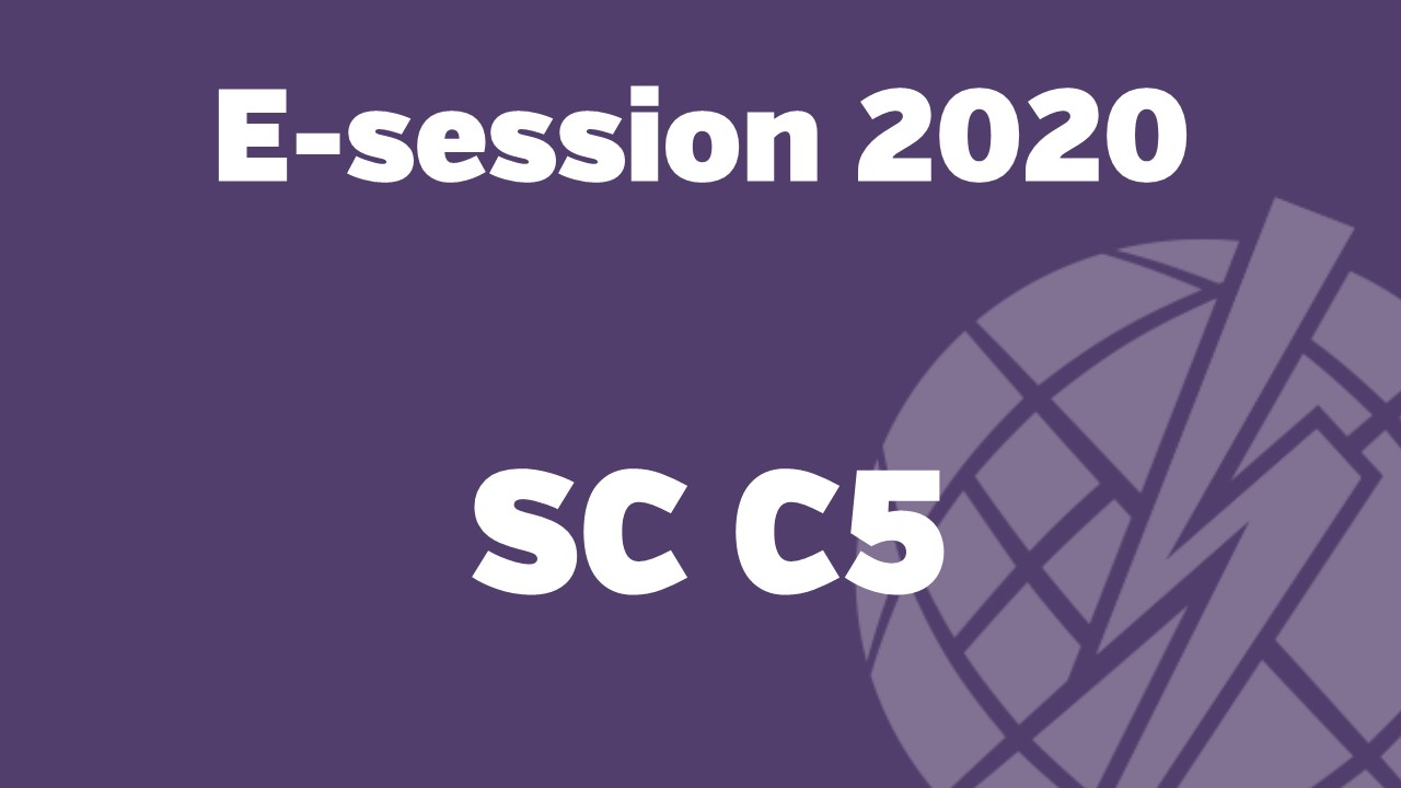 e-session_20200903_SC C5 Tutorial_ Market design for short term flexibility