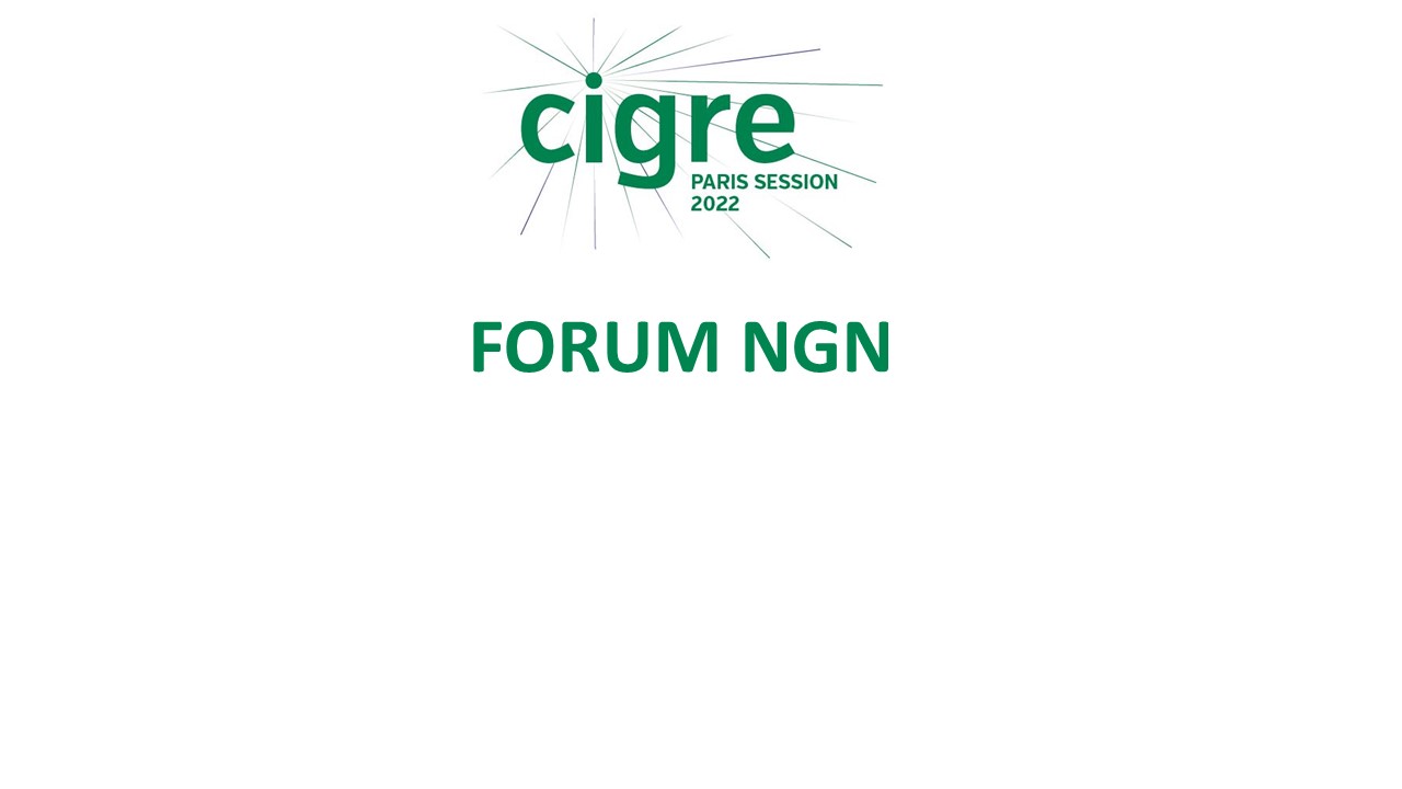 Session 2022 : NGN_Forum